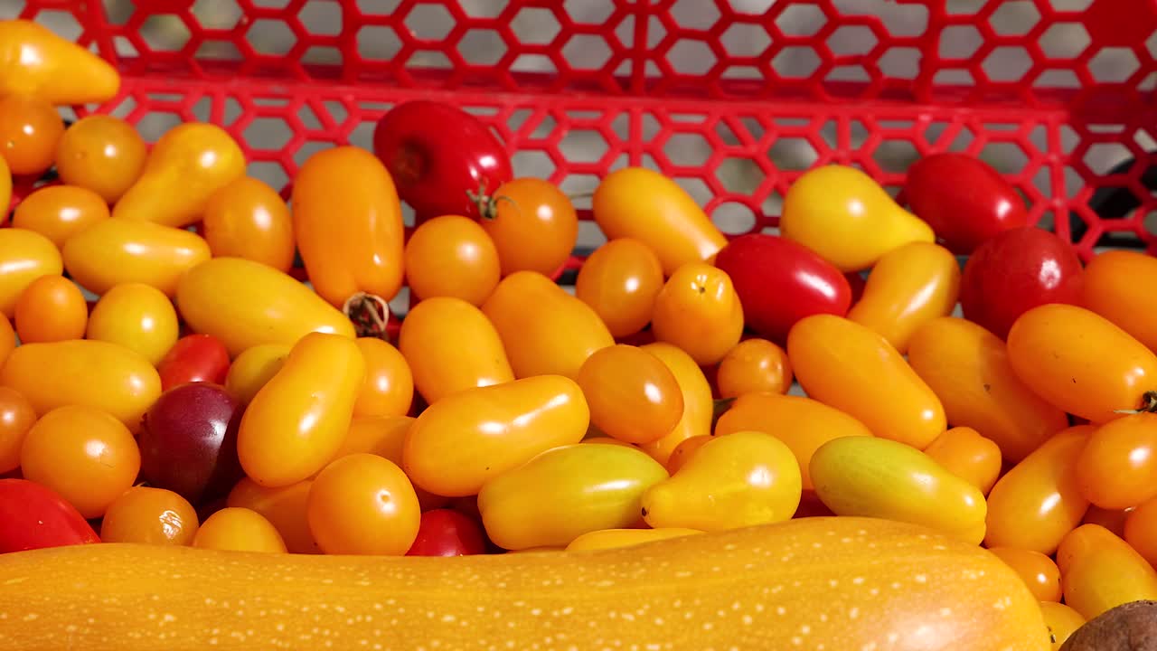 빨간 바구니 에 전시 된 활기찬 토마토