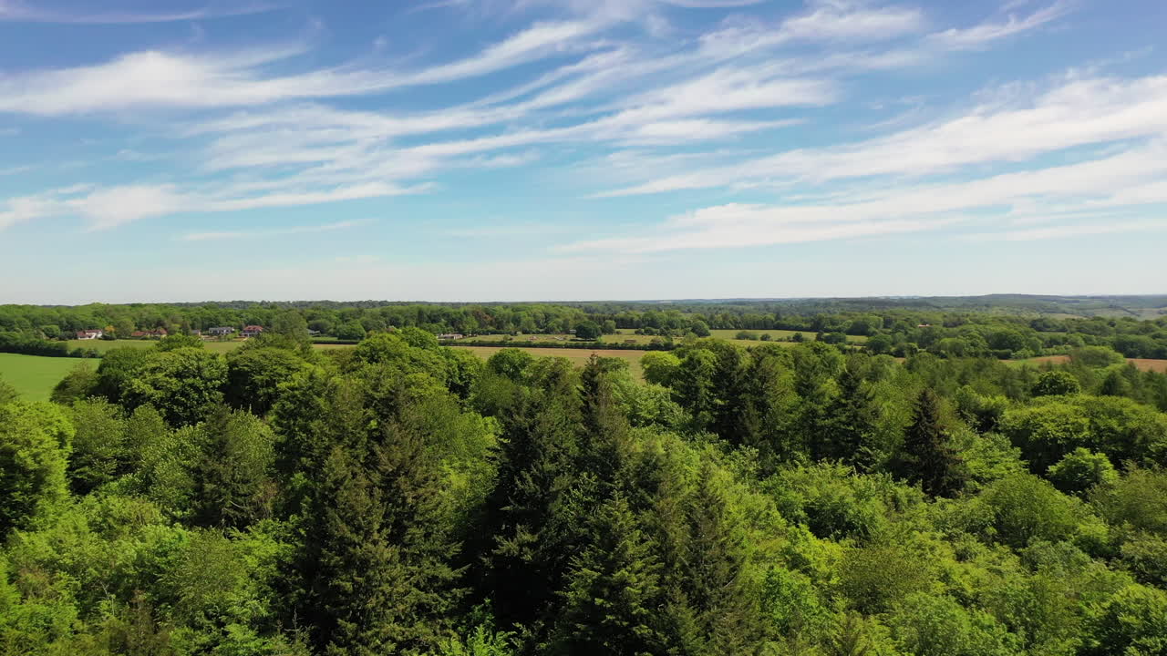 Aerial rising shot over a forest, in the English countryside on bright spring day