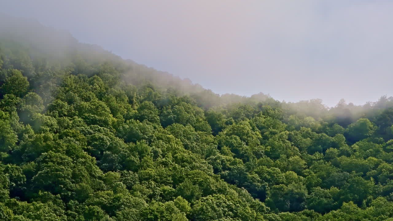 Drone flying gracefully into the mist covering the Smoky Mountains