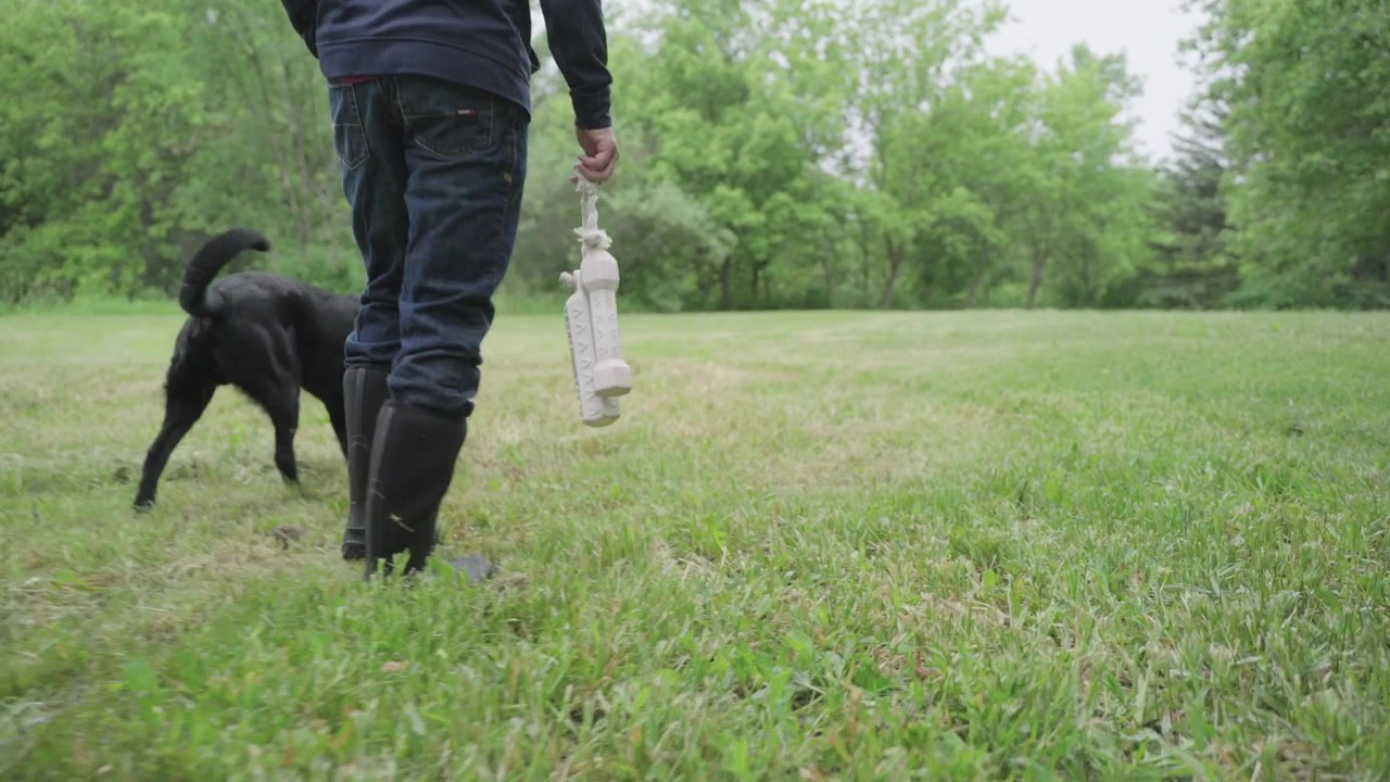 Handheld, man holding fetching toy and black labrador walking side by side in park, slow motion