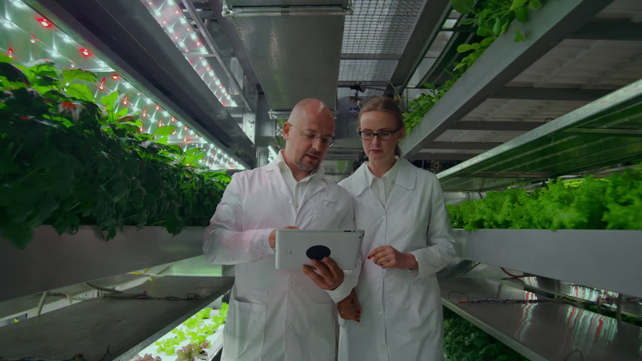 Microbiology in white coats walking on a modern farm with laptops and tablets studying and discussing the results of the growth of green plants