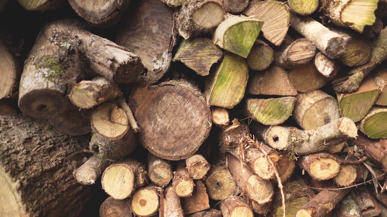 쌓인 자연 절단 목재 통나무의 벽 더미