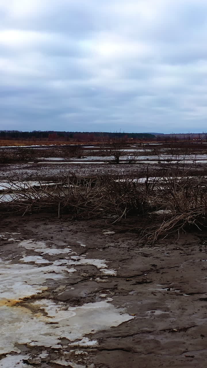 Gloomy background of nature. Contamination of lake in drought place. Ecological problems. Dried plants in polluted background. Vertical video