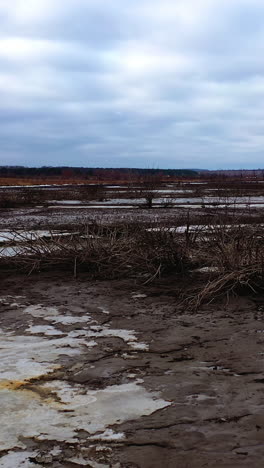 gloomy background of nature. contamination of lake in drought place. ecological problems. dried plants in polluted background. vertical video