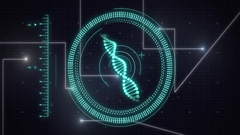 Animación-Del-Alcance,-La-Cadena-De-ADN-Y-El-Procesamiento-De-Datos-Sobre-Fondo-Negro