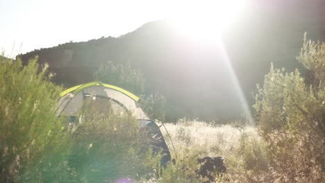 camping in nature wilderness