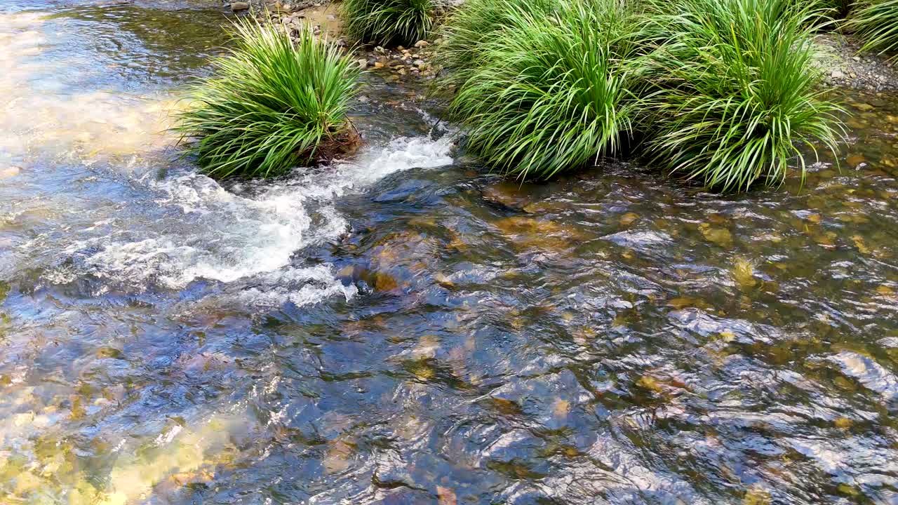 Aerial view of clear creek flowing around green grass and rocks in natural daylight
