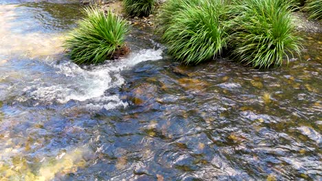 aerial view of clear creek flowing around green grass and rocks in natural daylight