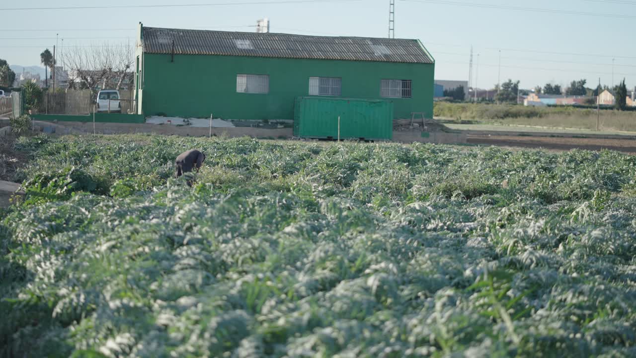 Farming Scene with a Dog and Farmer