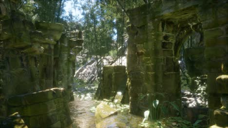 casa de piedra antigua en ruinas cubierta de plantas y helechos en un denso bosque verde
