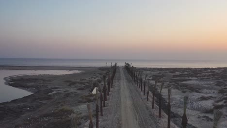 Elevación-Aérea-A-Lo-Largo-De-Un-Camino-Vacío-Bordeado-De-Palmeras-Cortadas-En-La-Playa-En-Karachi