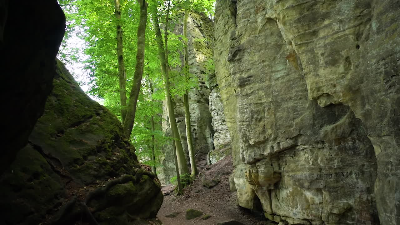 Wide shot of rugged rocks merging with the forest at Teufelsschlucht, showing a contrast between solid stone and the vibrant green canopy of trees.