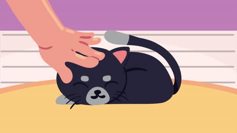 cute little black cat animation