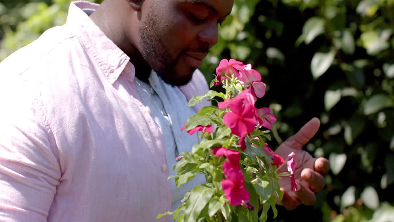 Enjoying nature in garden, African american man smelling vibrant pink flowers