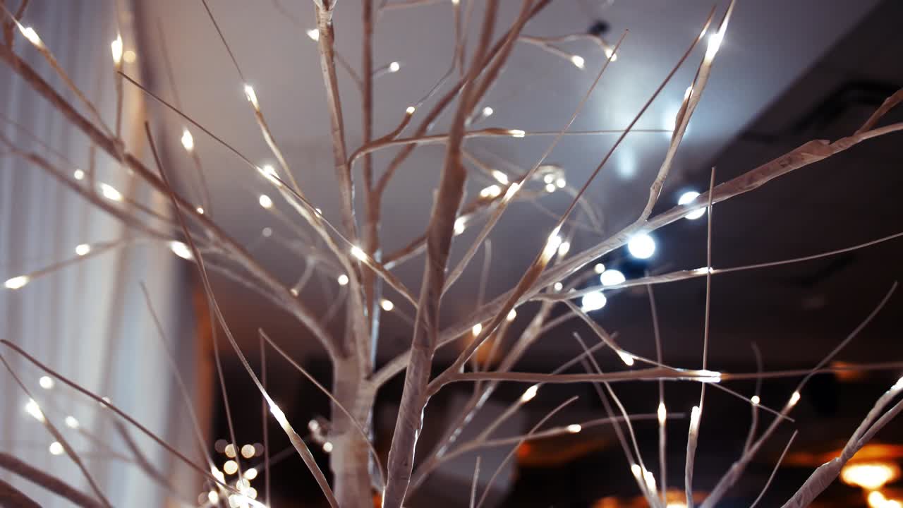 un pequeño árbol decorado con luces de hadas brillantes
