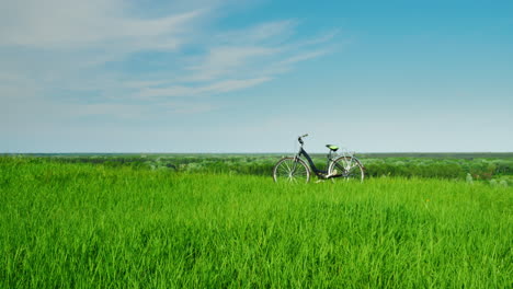 la bicicleta se encuentra en un lugar pintoresco en un prado verde