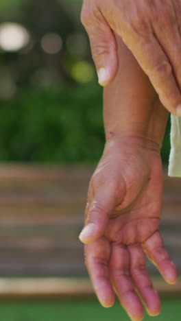 video de la sección media de una pareja de ancianos biraciales tomados de la mano en el jardín
