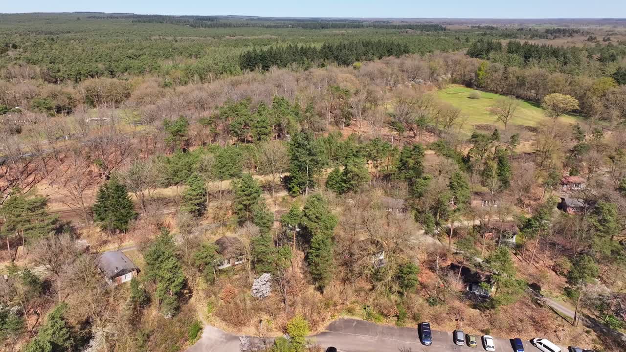Cars parked at forest edge, aerial view of wooded area and open grassy clearing