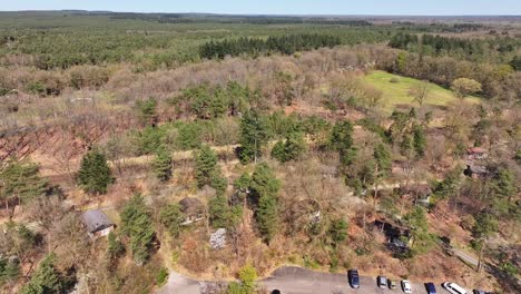cars parked at forest edge, aerial view of wooded area and open grassy clearing