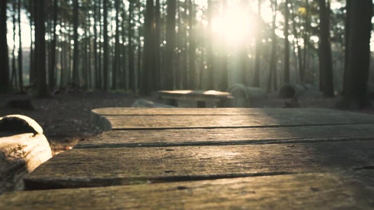 Tavolo da picnic in legno in una foresta al tramonto