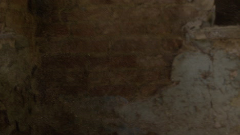 close-up view of dust particles moving in the air in a ruined building