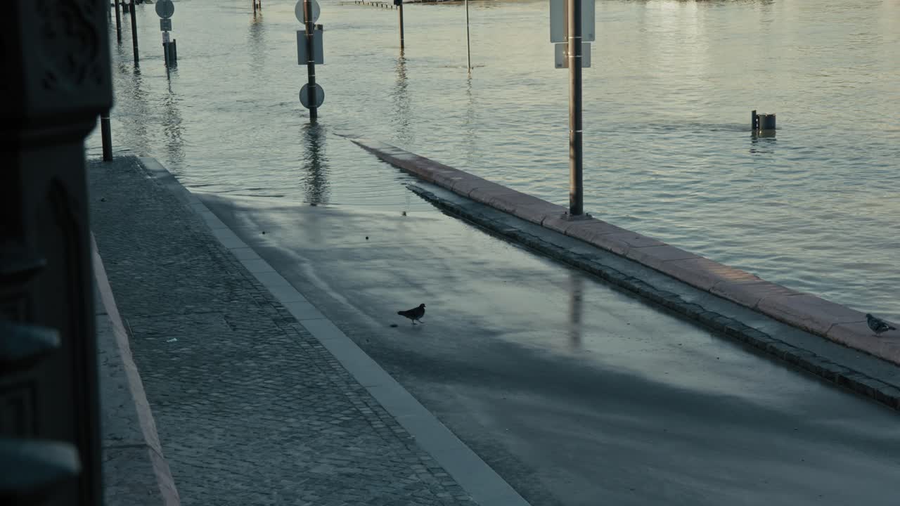 Flooded Street Scene in City