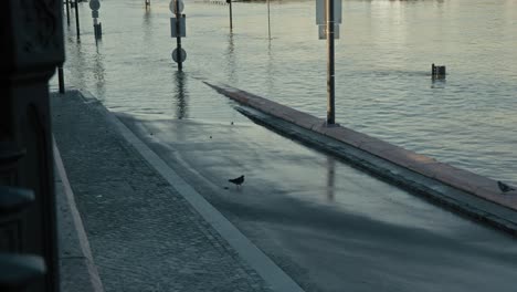 flooded street scene in city