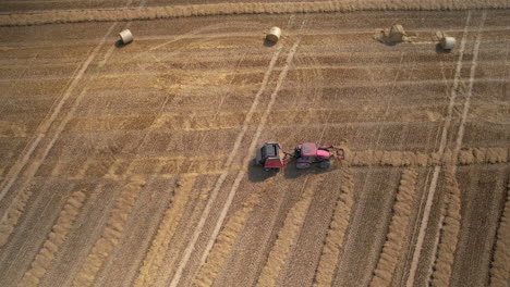 Cosechando-En-Campo-Agrícola