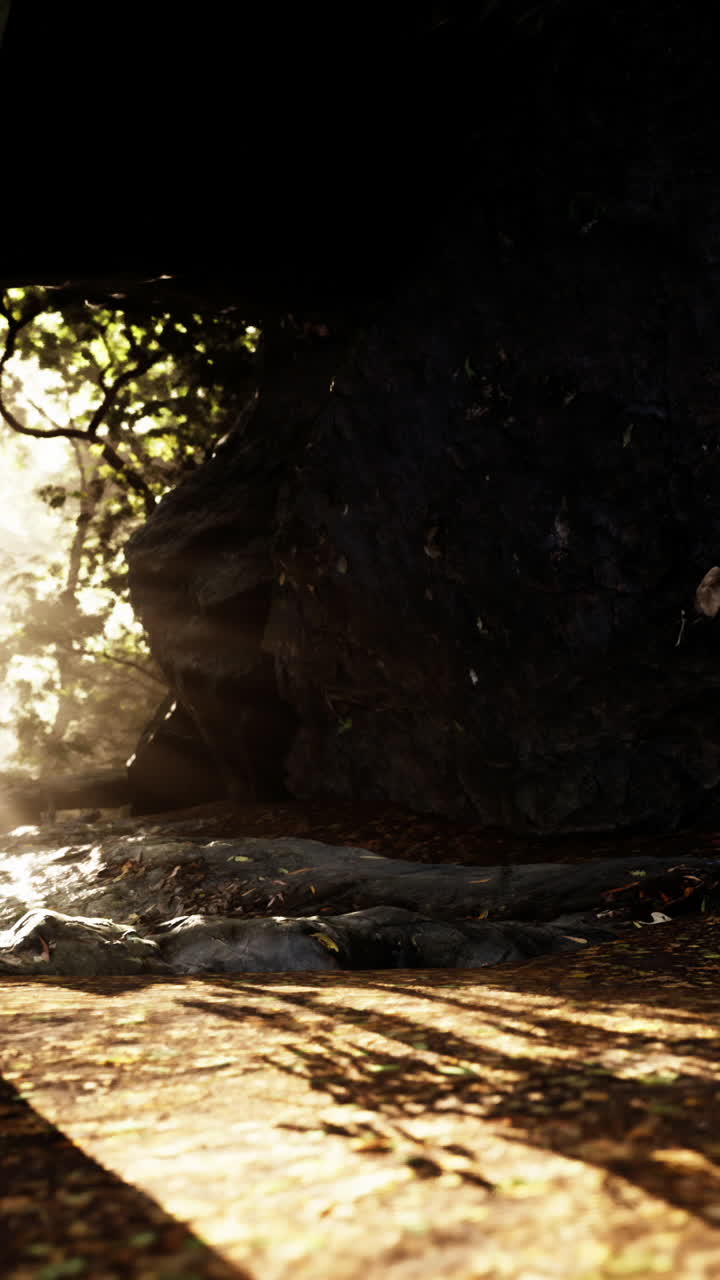 la luz del sol fluye a través de la entrada de una cueva en un bosque oscuro