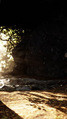 sunlight streaming through a cave entrance in a dark forest
