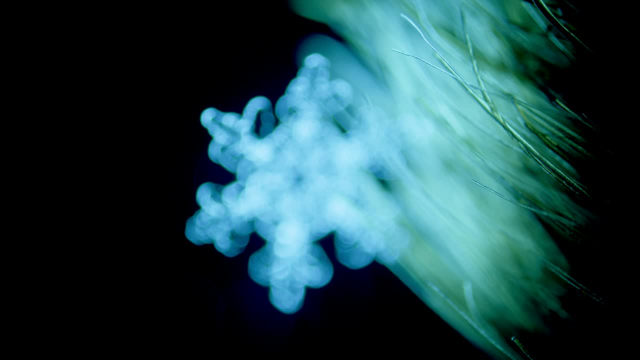 Cristal de glace flocon de neige sur les poils d'un pinceau sous microscope en fond noir.