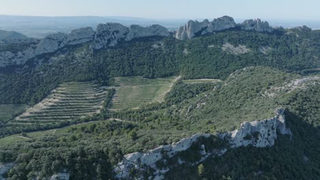 Luftdrohnenaufnahme,-Die-über-Die-Weinberge-Von-Vaucluse,-Provence,-Dentelles,-Montmirail,-Frankreich-Fliegt