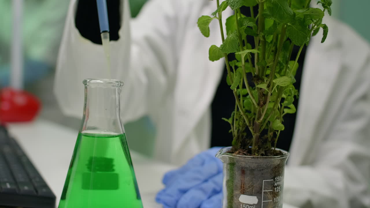 Closeup of botanist woman using micropipette for taking genetic liquid putting on sapling