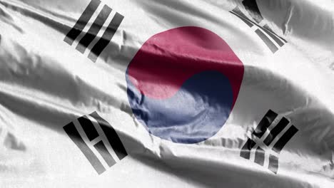 south korea textile flag slow waving on the wind loop. south korean banner smoothly swaying on the breeze. fabric textile tissue. full filling background. 20 seconds loop.