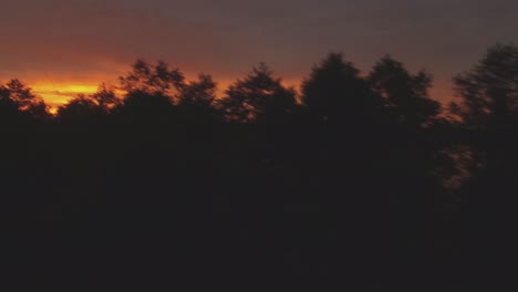 lago rodeado de bosques iluminados por la puesta de sol