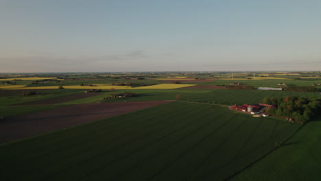 Paisaje-épico-De-Puesta-De-Sol-Con-Granjas-Y-Campos-De-Canola,-Skåne,-Suecia,-Antena