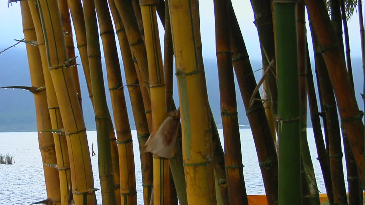 un bosque de bambú revela un templo asiático en el lago bratan bali indonesia