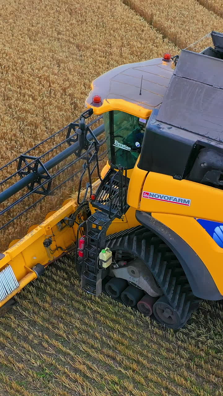 Combine harvester. Cutting blades of combine in farmland. Modern agriculture machine harvesting ripe crop on field. Close-up. Vertical video