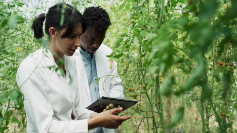 putting their botany skills to work