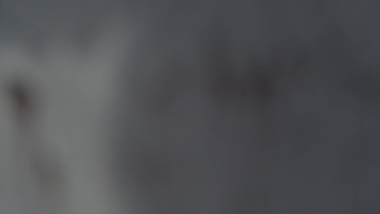 la bandeja izquierda revela a una joven que usa lencería negra sexy en la ciudad al aire libre.