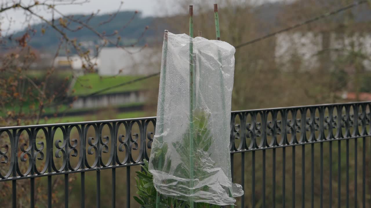 Rain covered plant in plastic on balcony with distant rural landscape view