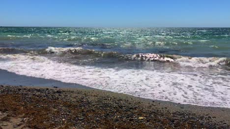 Sonniger-Tag-Mit-Blauem-Himmel-Am-Strand-Mit-Wellen-Am-Ufer-Mit-Algen-In-Marbella-Malaga-Spanien