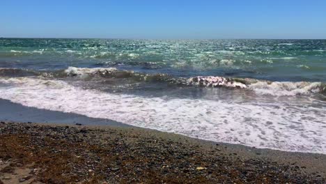día soleado con cielo azul en la playa con olas en la orilla con algas en marbella malaga españa