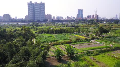 aerial truck  right over urban gardens