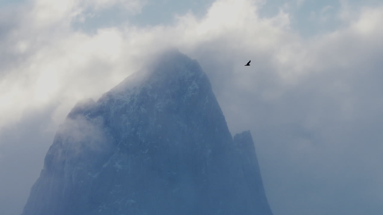 구름에 가려진 산 위를 나는 새