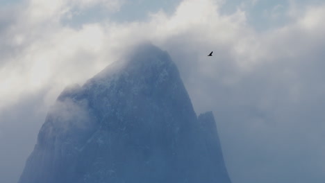 un pájaro volando sobre una montaña envuelta por nubes