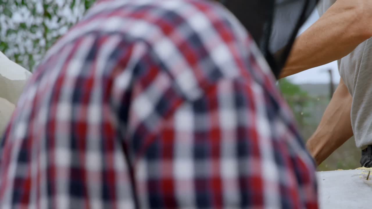 Skovhuggere skærer fældet træ i skoven 4k
