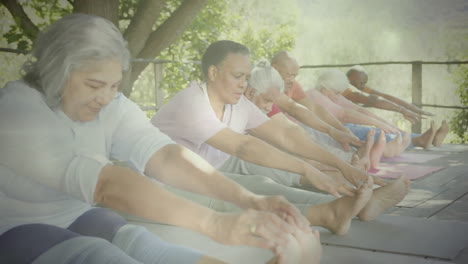 Animation-of-spots-of-light-and-trees-over-diverse-senior-people-stretching-in-garden