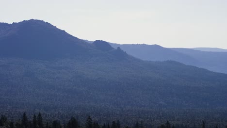 misty mountain range with forest