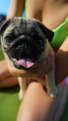 woman holding a pug puppy